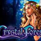 Crystal Forest